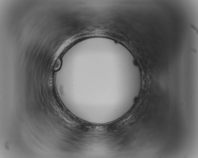 X0000103440056200809261803