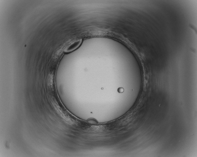 X0000103440057200809261803