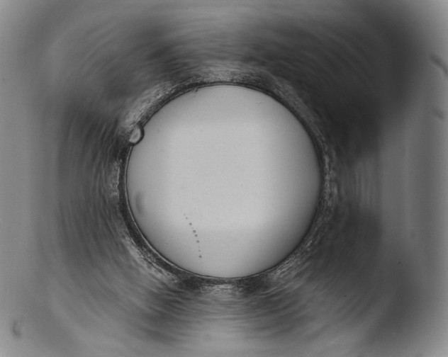 X0000103440058200809261803