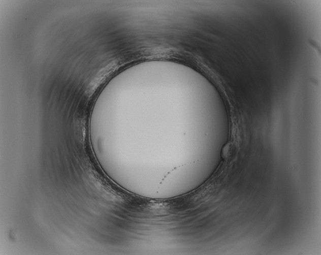 X0000103440059200809261803