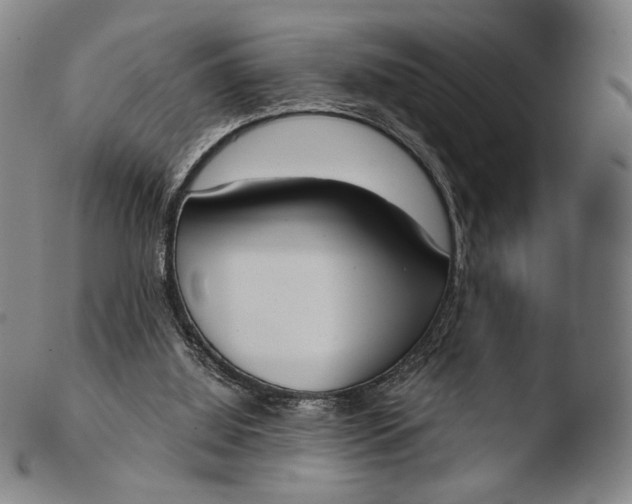 X0000103440060200809261803