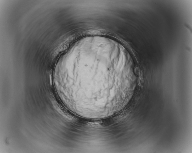 X0000103440061200809261803