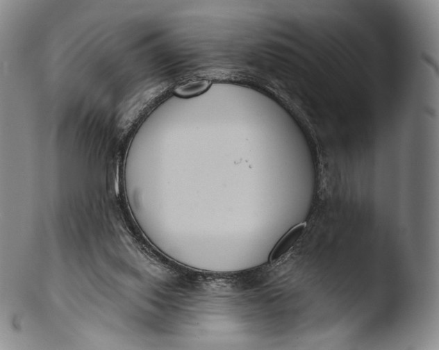 X0000103440062200809261803