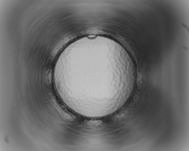 X0000103440063200809261803