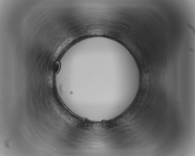 X0000103440064200809261803