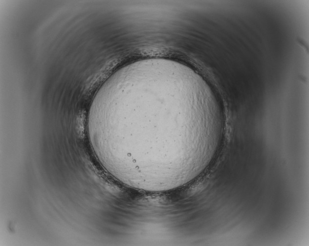 X0000103440065200809261803