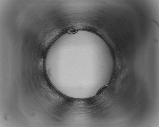 X0000103440066200809261803