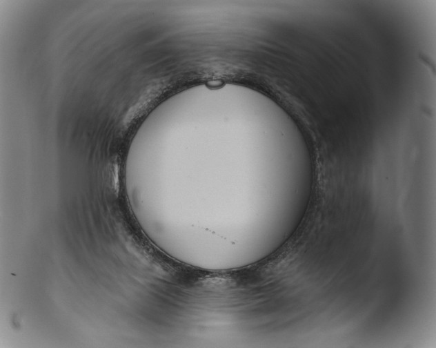 X0000103440067200809261803