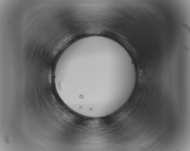 X0000103440068200809261803