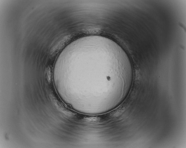 X0000103440069200809261803