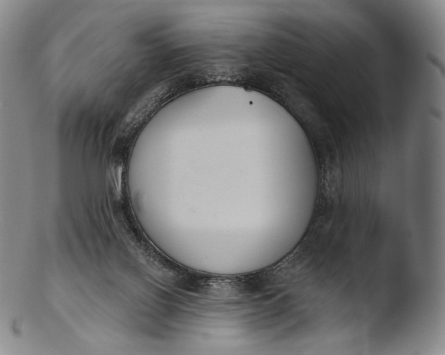 X0000103440070200809261803