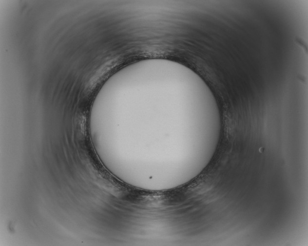 X0000103440071200809261803