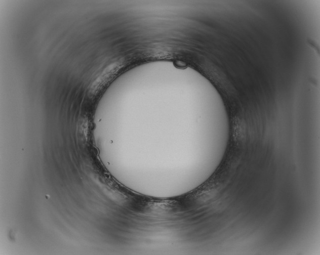 X0000103440072200809261803