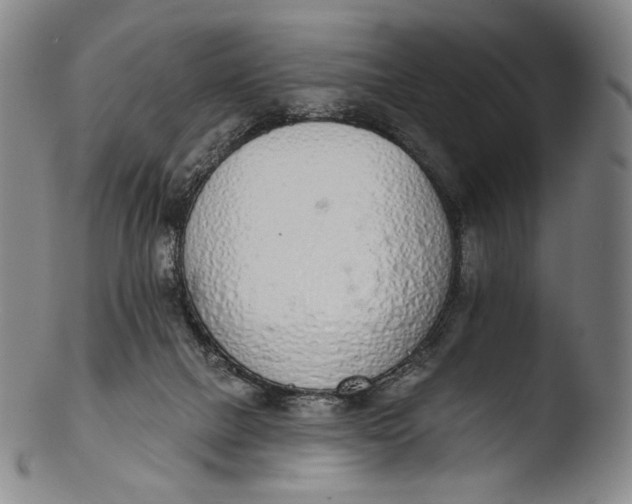 X0000103440073200809261803
