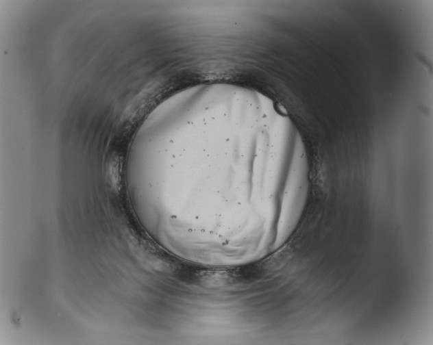 X0000103440074200809261803