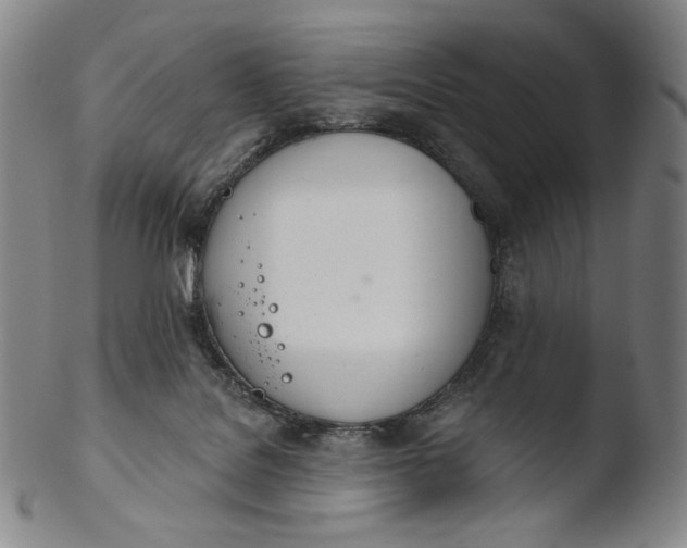 X0000103440076200809261803