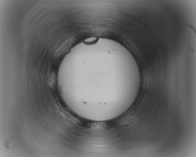 X0000103440077200809261803