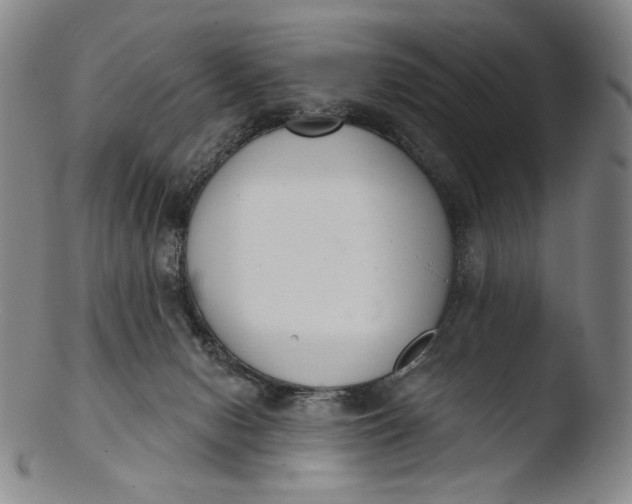 X0000103440078200809261803