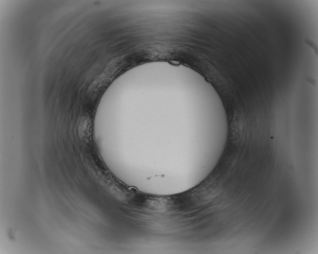 X0000103440079200809261803
