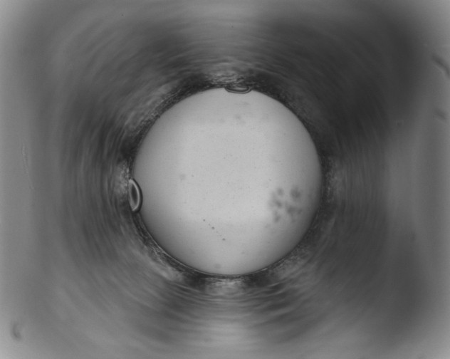 X0000103440081200809261803