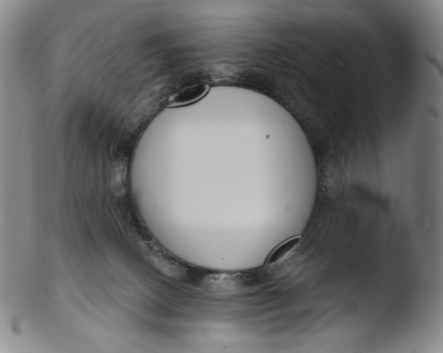 X0000103440082200809261803