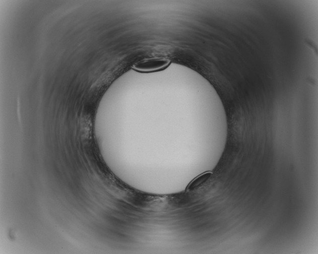X0000103440083200809261804