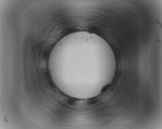 X0000103440084200809261804