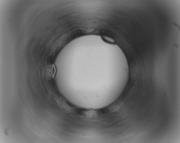 X0000103440085200809261804