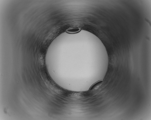 X0000103440086200809261804