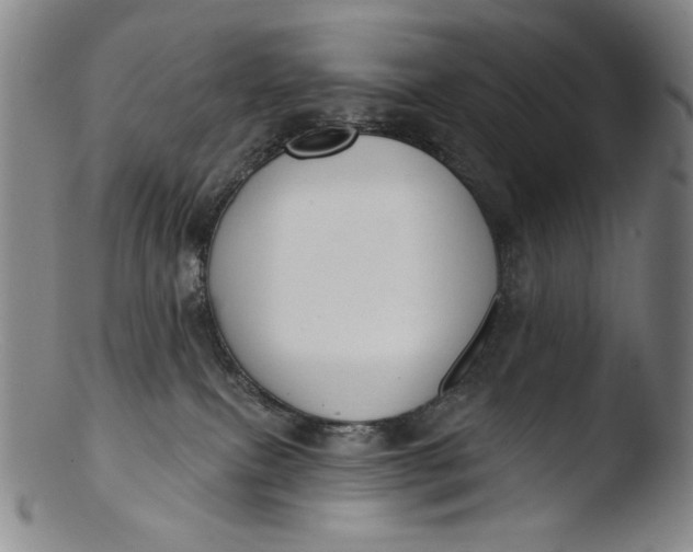 X0000103440087200809261804