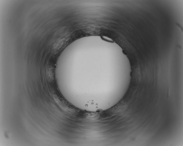 X0000103440088200809261804