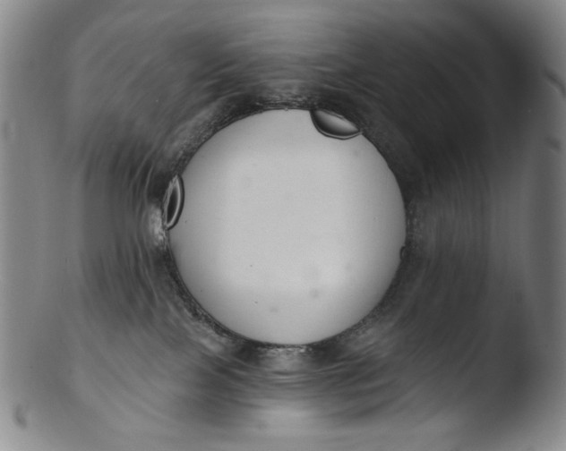 X0000103440089200809261804