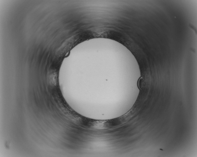 X0000103440090200809261804