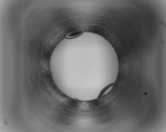 X0000103440091200809261804