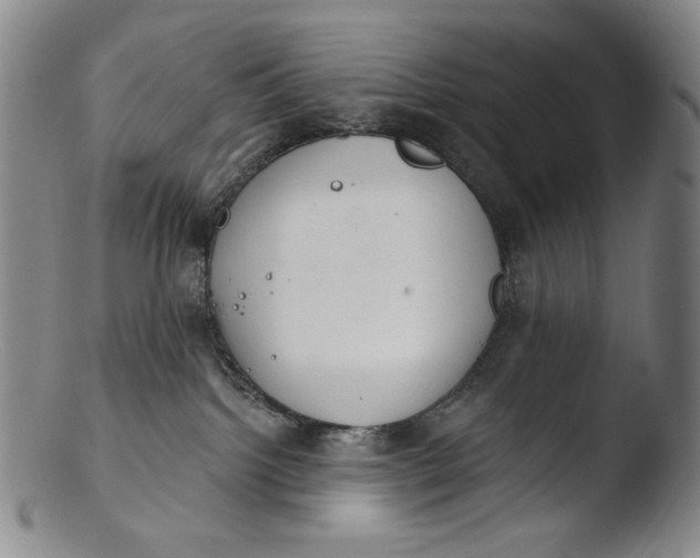 X0000103440092200809261804