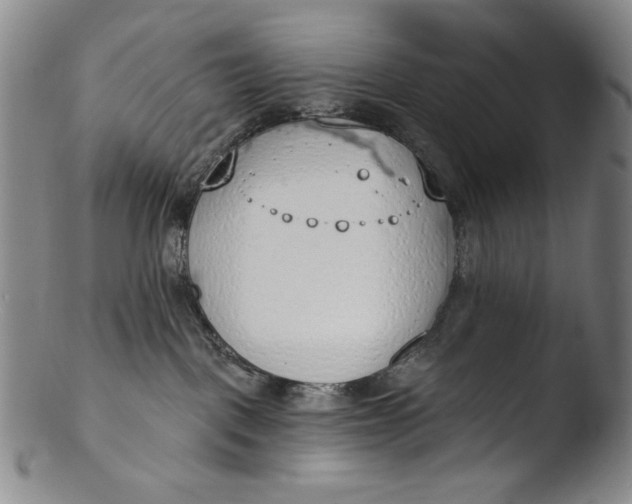 X0000103440093200809261804