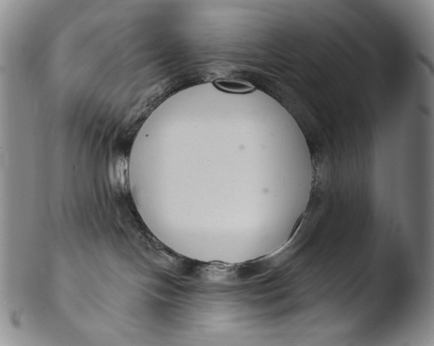 X0000103440094200809261804