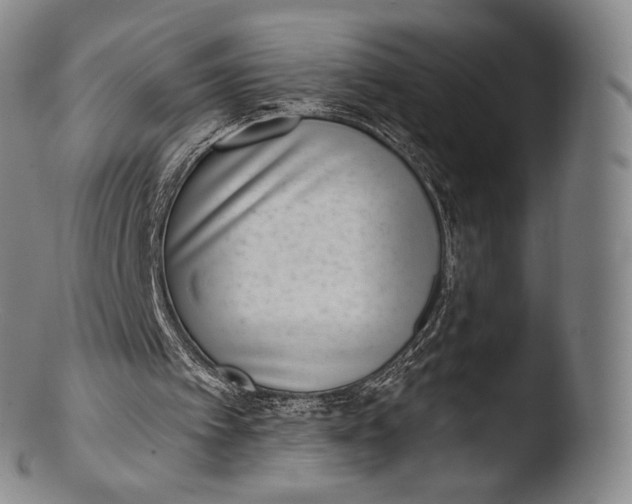 X0000103440097200809261803