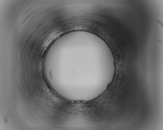 X0000103440098200809261803