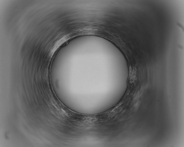 X0000103440099200809261803