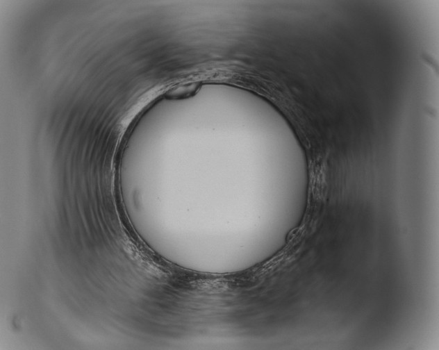X0000103440100200809261803