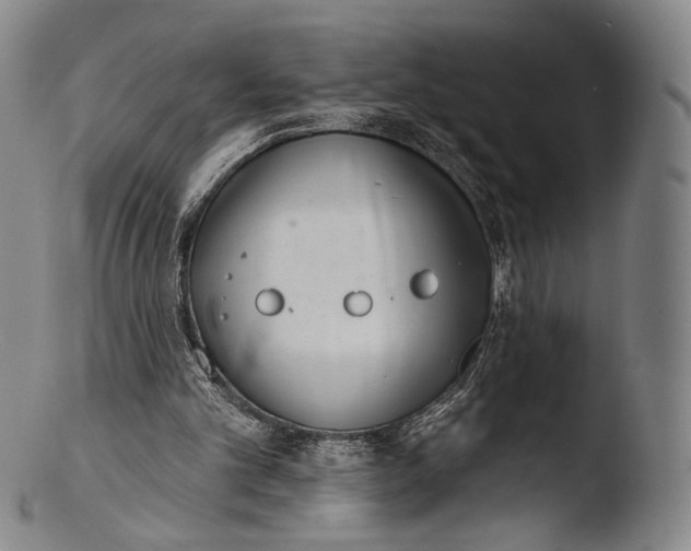X0000103440101200809261803