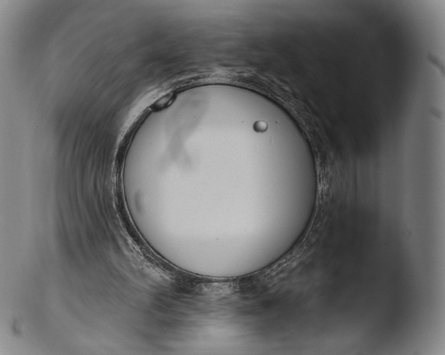 X0000103440102200809261803