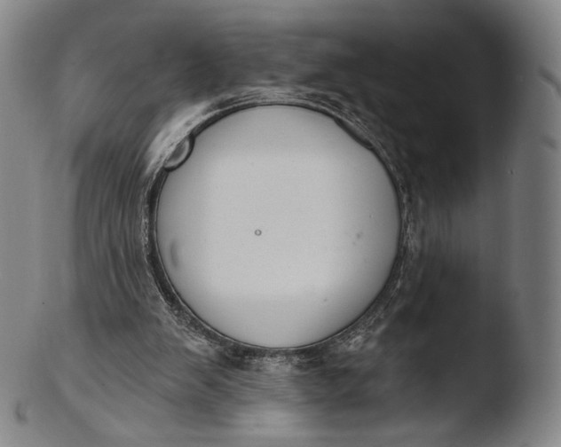 X0000103440103200809261803