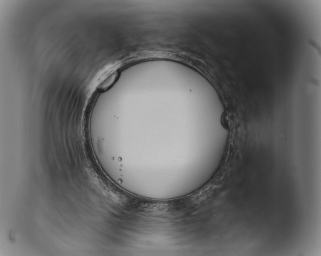 X0000103440104200809261803