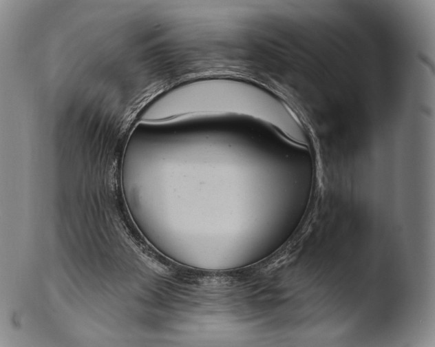 X0000103440105200809261803