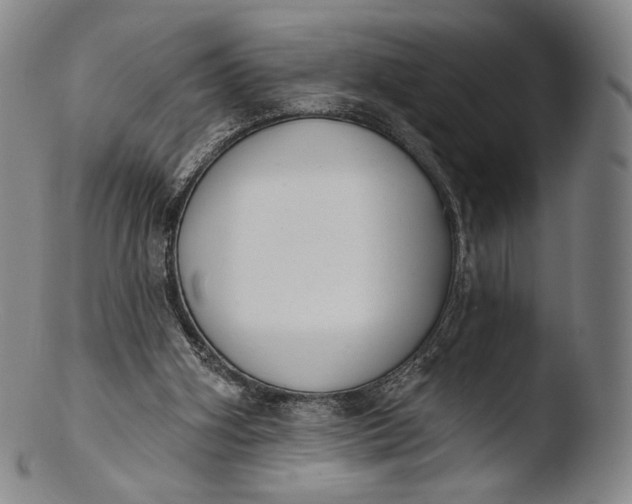 X0000103440106200809261803