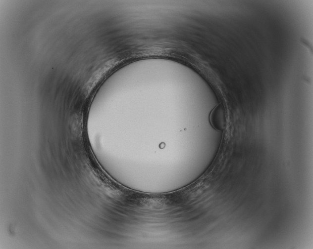X0000103440107200809261803