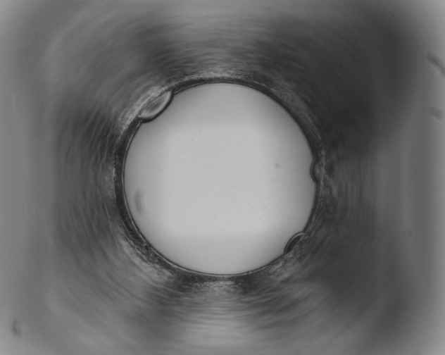 X0000103440108200809261803