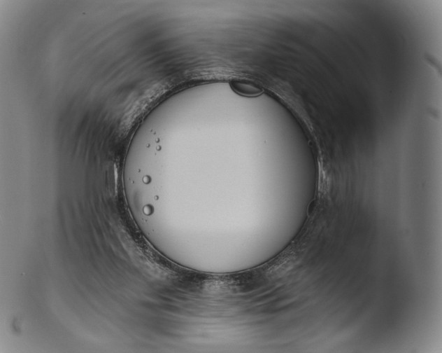 X0000103440109200809261803